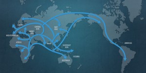 Primary migrations of the human race