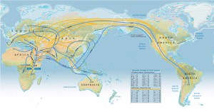 Migrations after 7 years of DNA collections