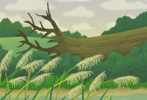 the-oak-and-the-reeds