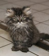 WHAT! What are you looking at!?