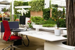 green-desk-biophilic-designs