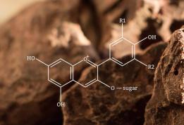 cacao molecule