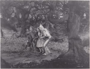 haunted forest - wizard of oz